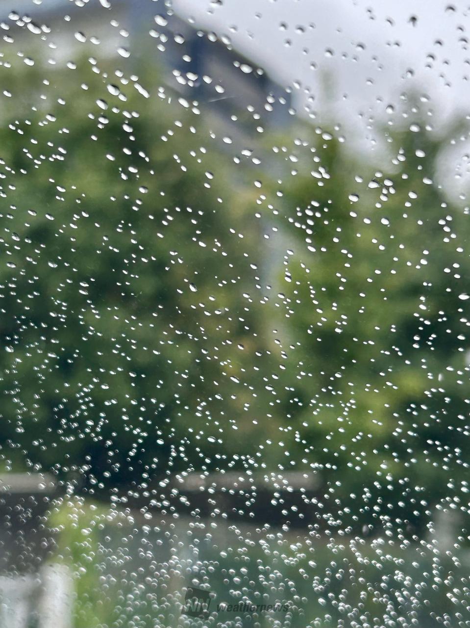 細かい雨が シトシト降って 風も少し出て | 神奈川県茅ヶ崎市 | みゅう