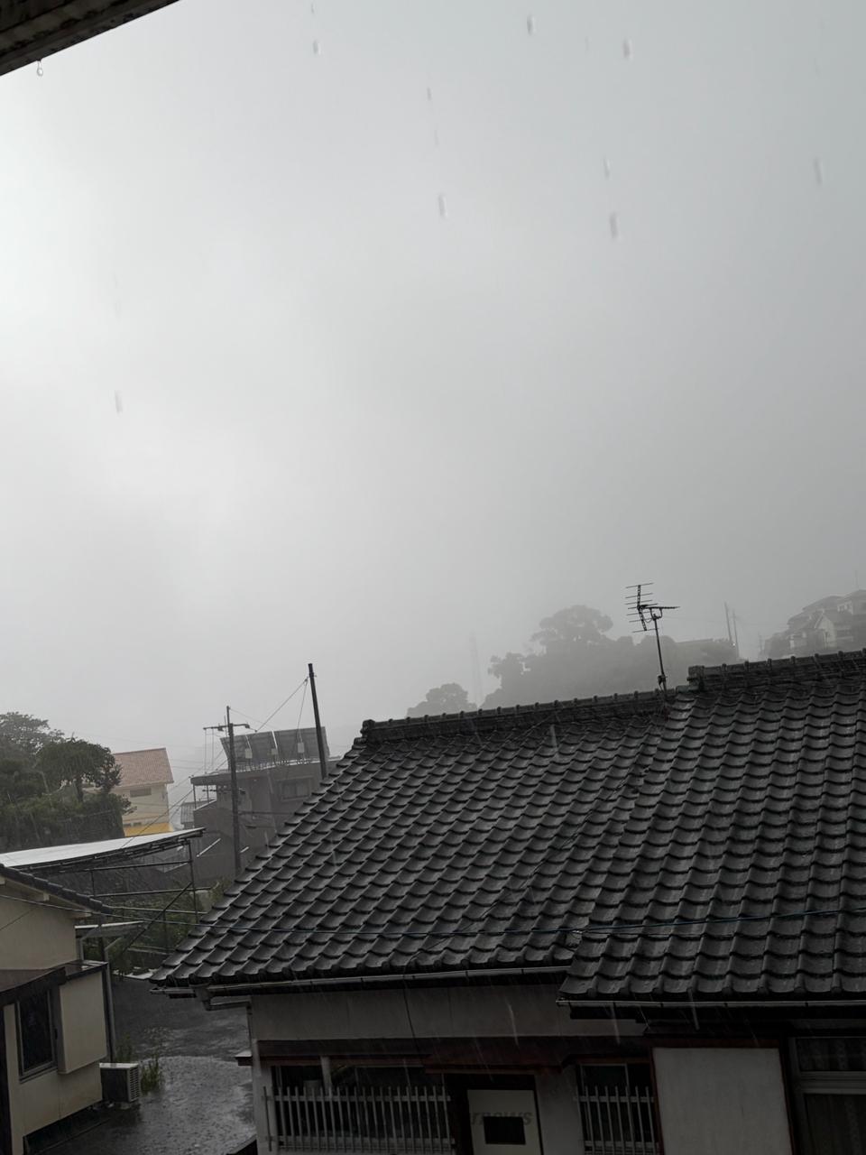 夜は雷凄かったですね💦今朝はダーッと粒 | 鹿児島県鹿児島市 | ☆ヨヨ