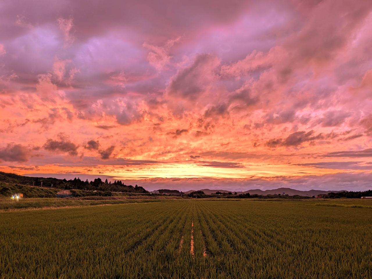 鮮やかな夕焼け 注目の空の写真 ウェザーニュース