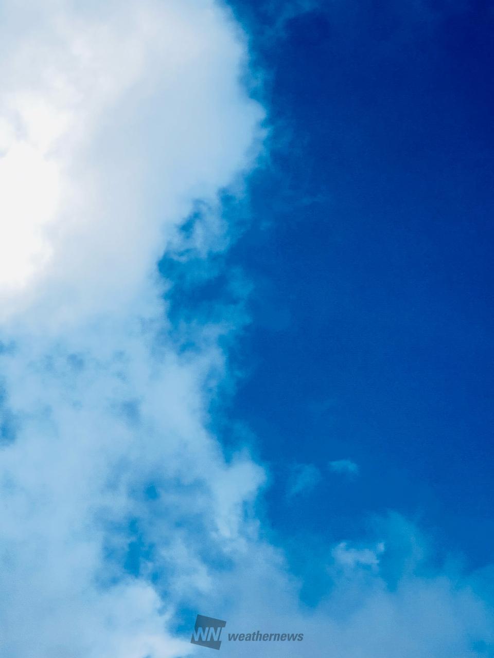 ☀️週明けは広く青空 注目の空の写真 ウェザーニュース