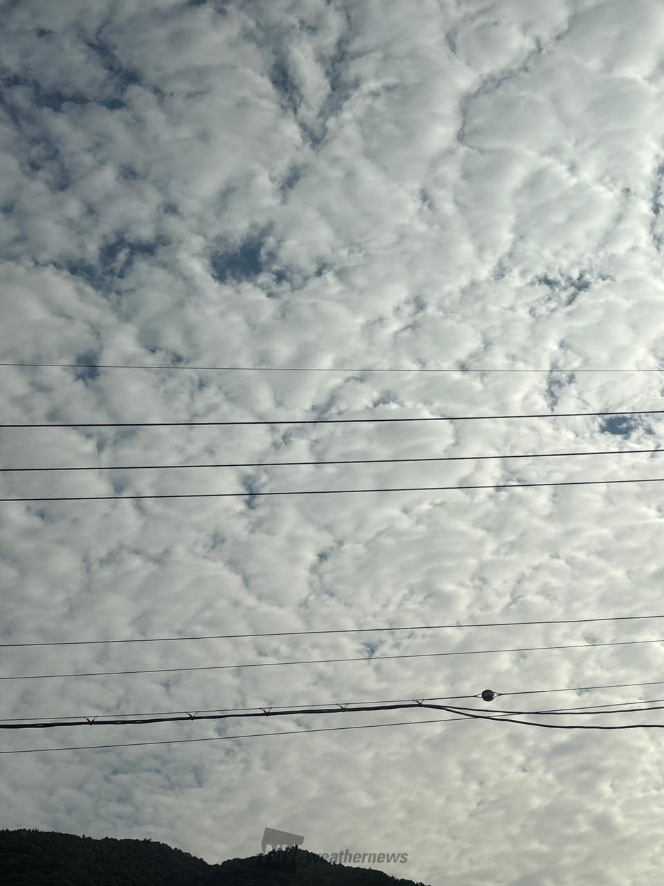 雲風様【お待ち下さい】＊ご購入用 おはようございます♪ 鱗雲のような不気味 | 岐阜県大垣市 | 👤haru
