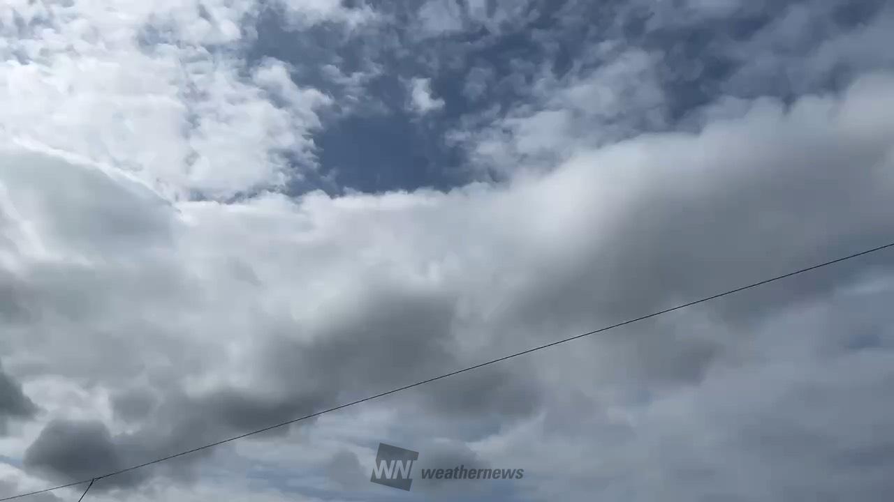 雲が多いので日差しはそこまでないです。 | 鹿児島県いちき串木野市