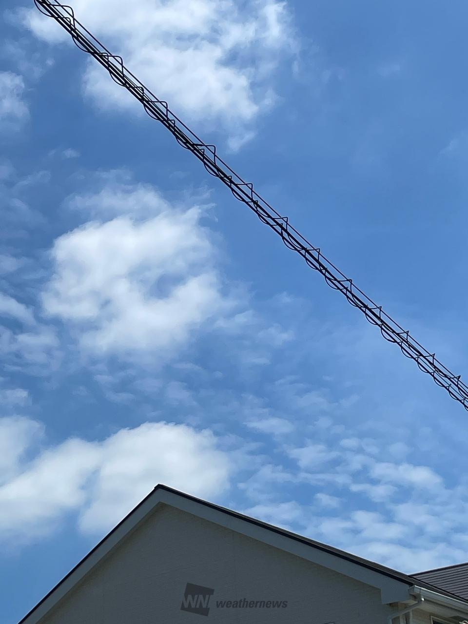 今日も晴れです。近...