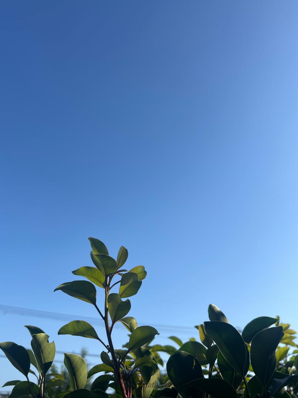 ⭐︎気持ちいい⭐︎...