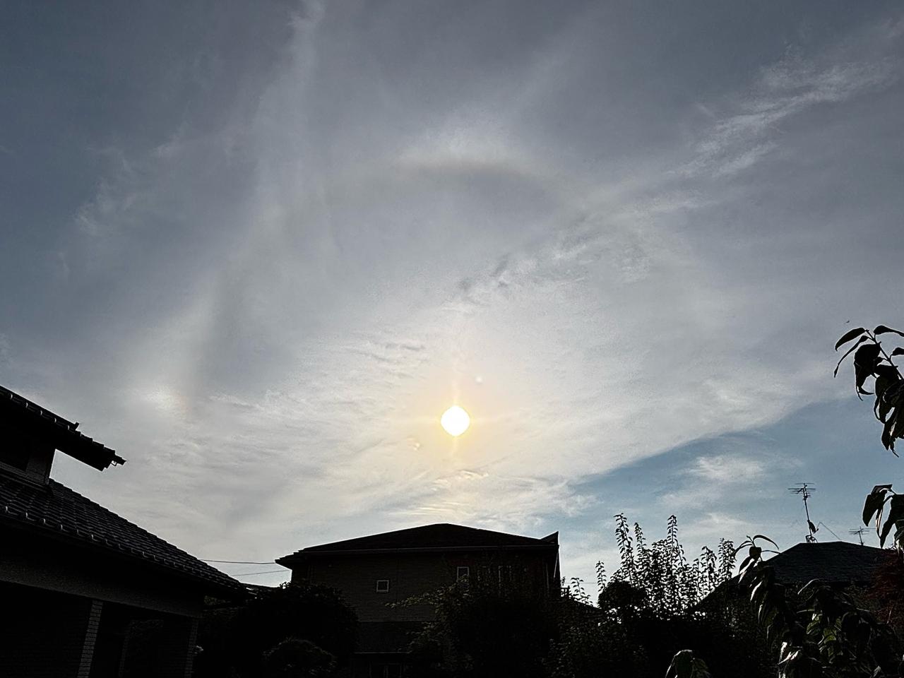ハロ・幻日・アーク 注目の空の写真 ウェザーニュース
