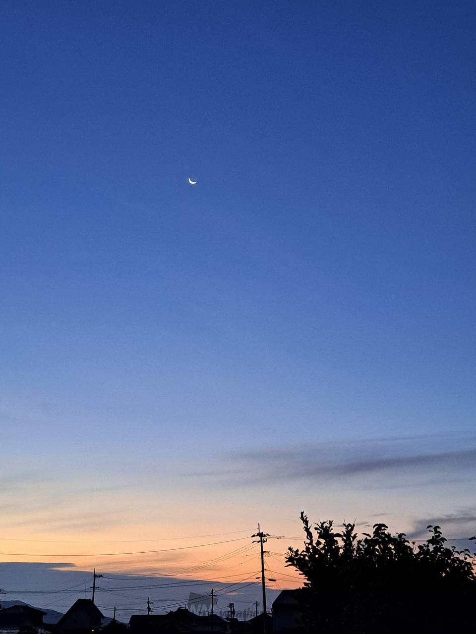 夜明け前の空にお月...