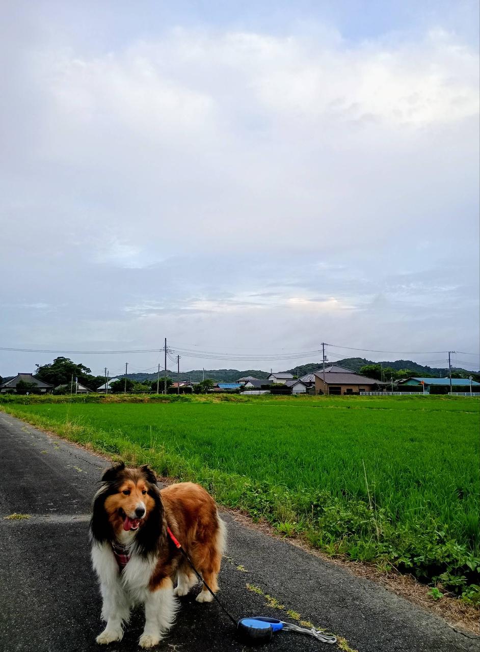 北西の空青空も見え...