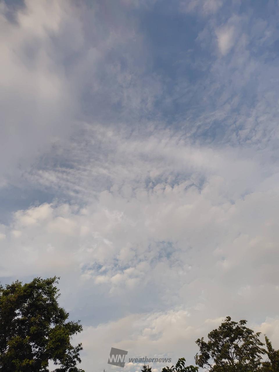 秋の様な空！青空は...