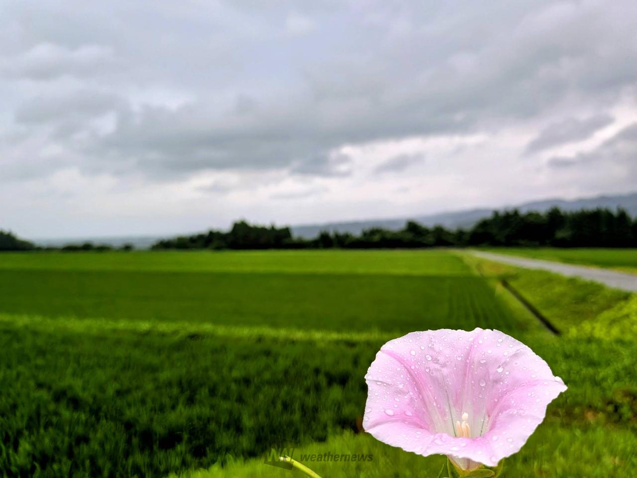 日の出の時間は過ぎ...
