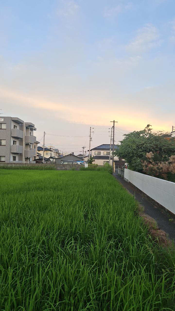 ゲリラ雷雨西の上...