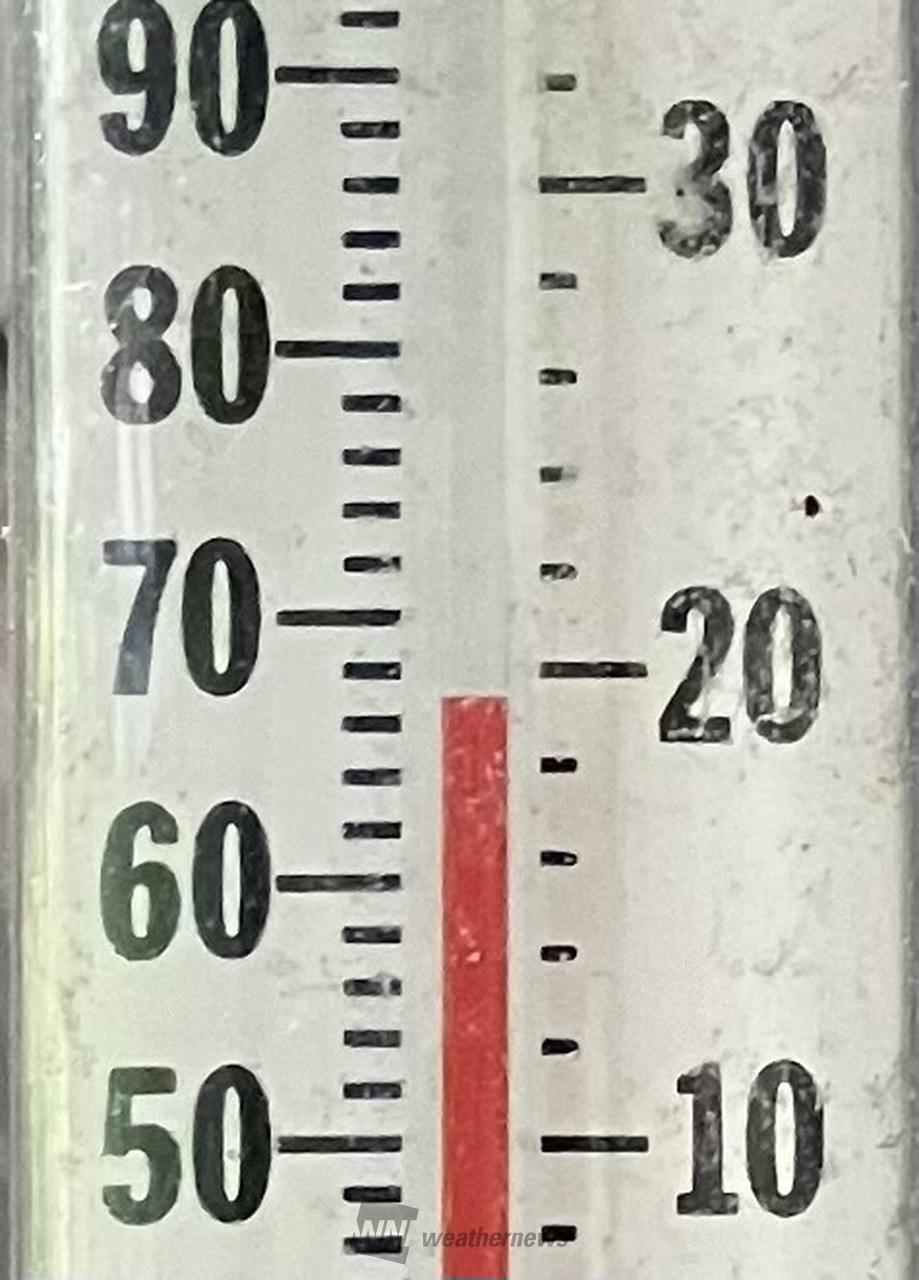 １９．５℃。少し...