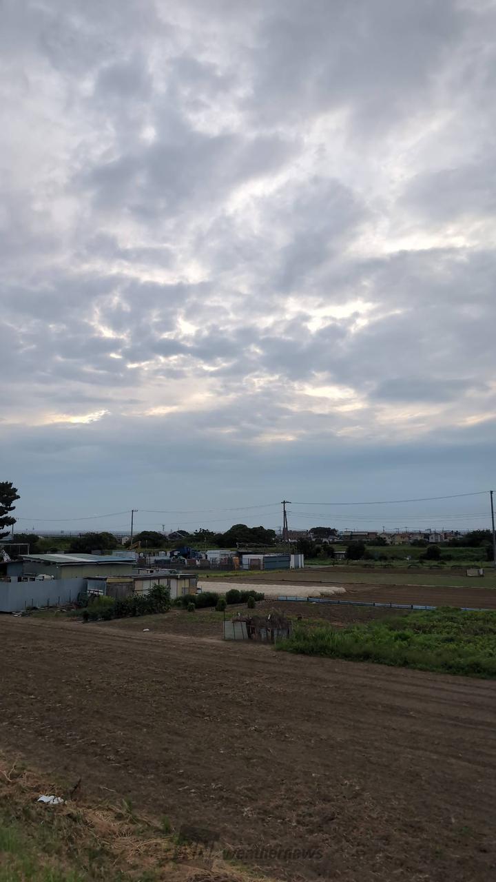 中川河川敷より　曇...