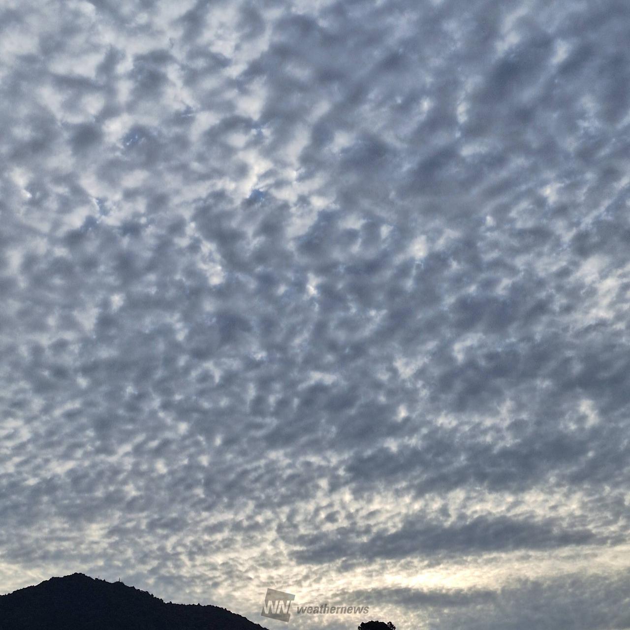 空一面の雲の海。さ...