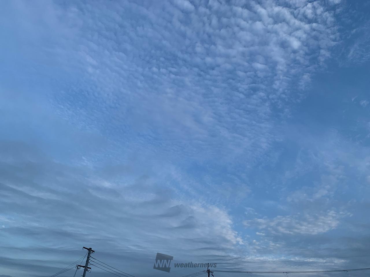 今の所青空も見えて...