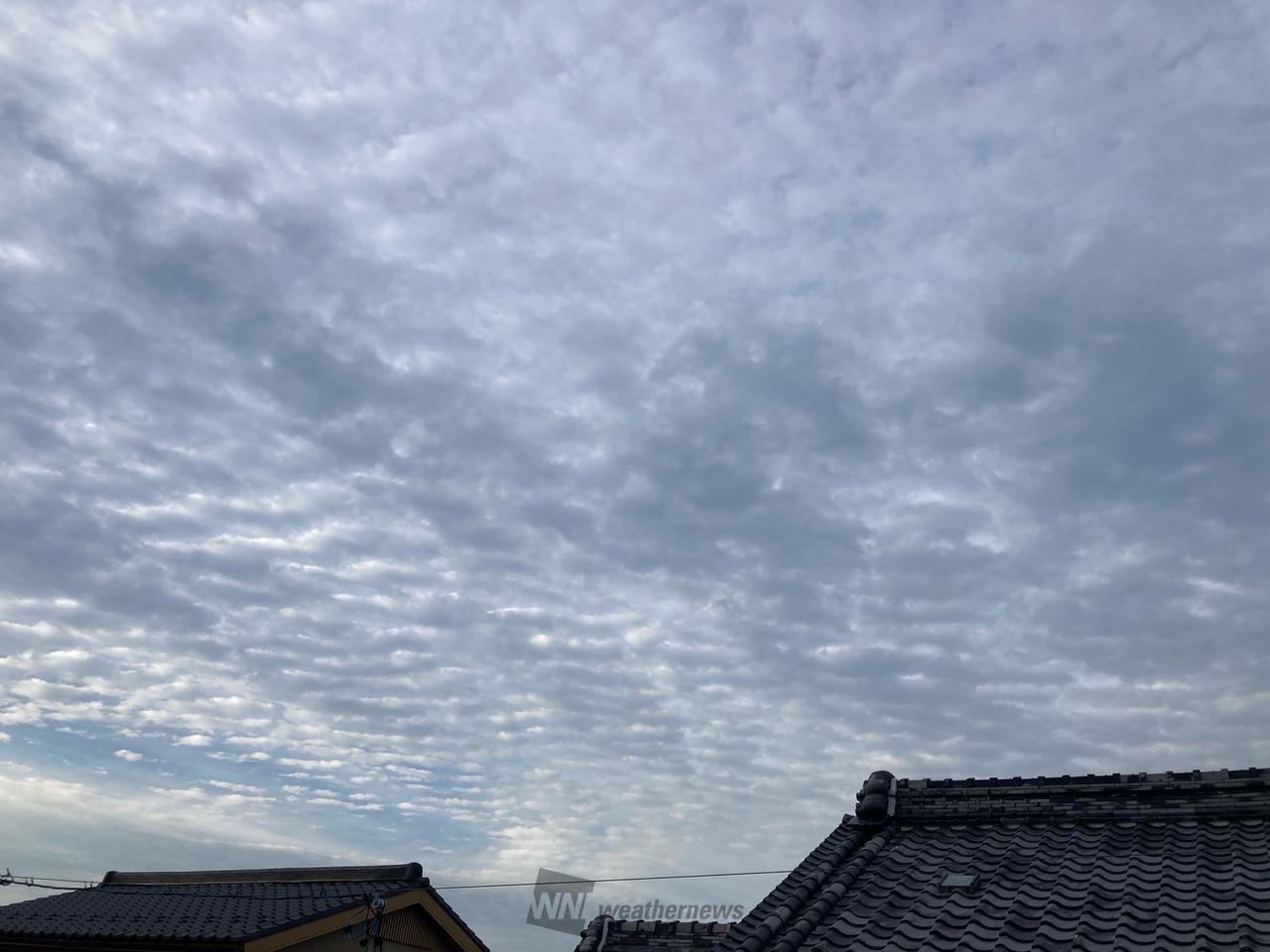 薄曇りでウロコ雲っ...