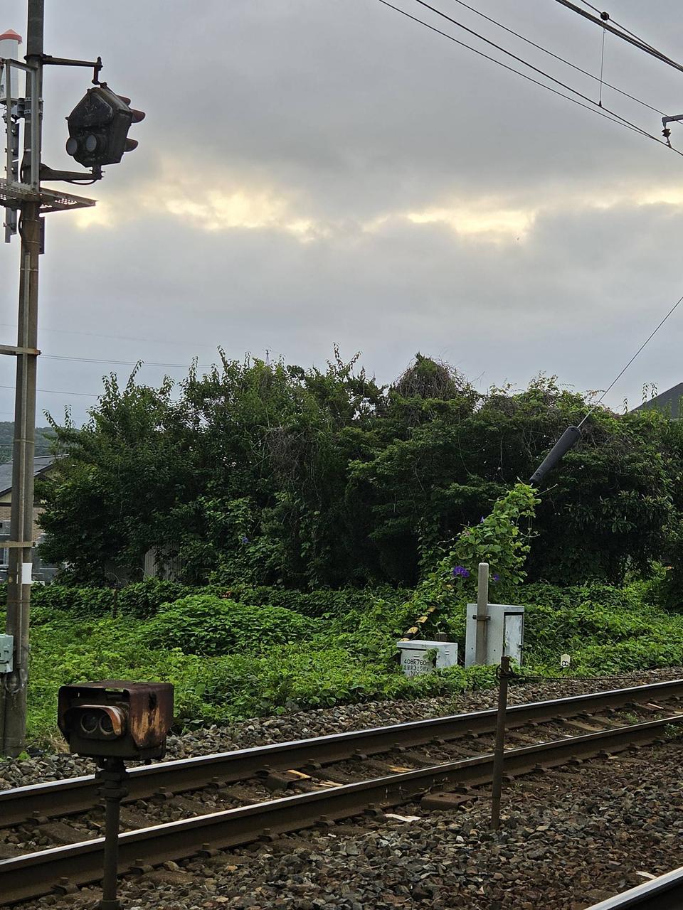いまのそらです。い...