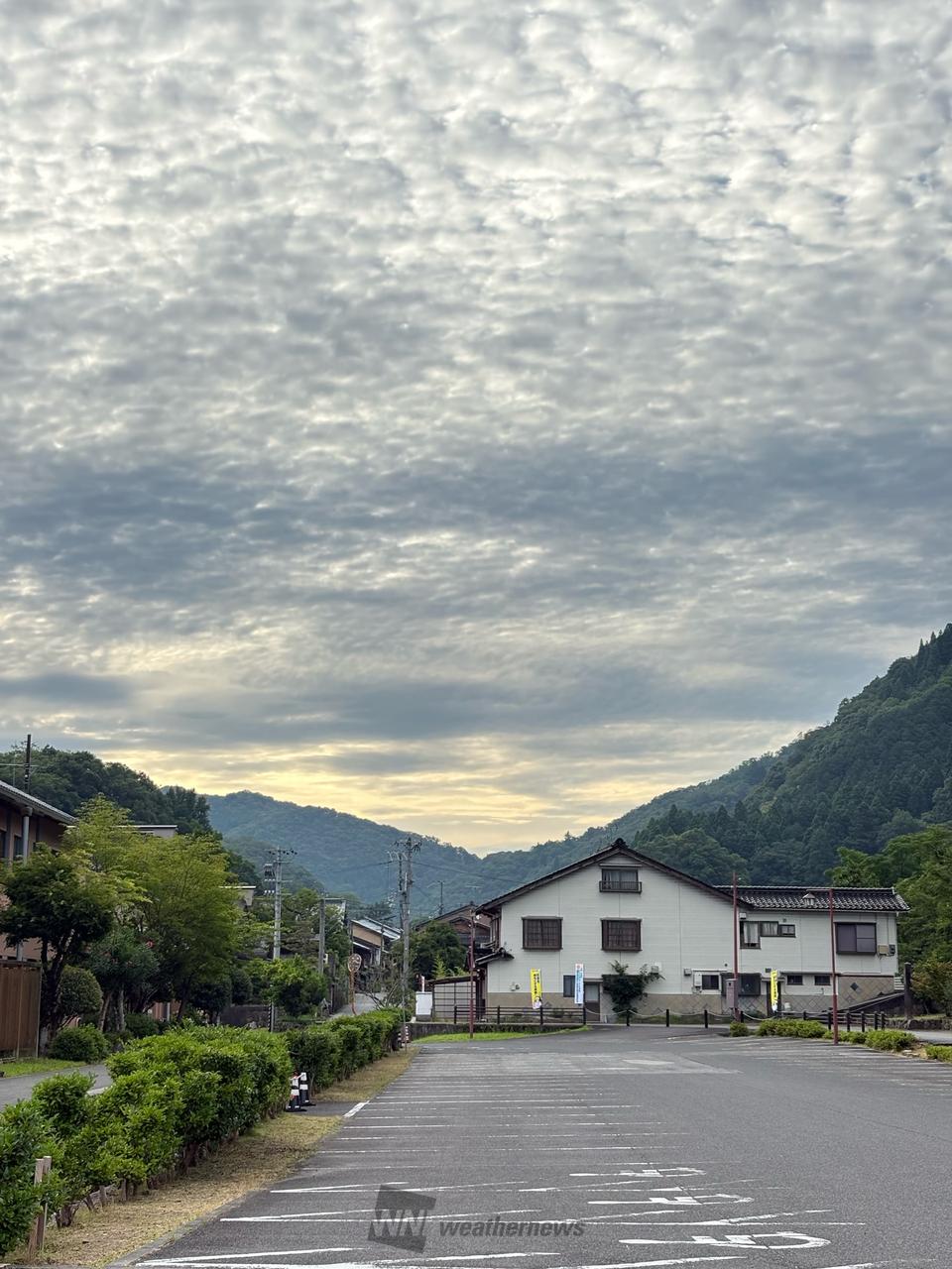 今日の朝は昨日とは...