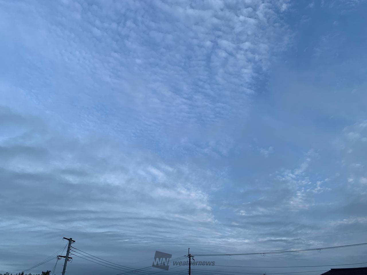 今の所雨や風はあり...