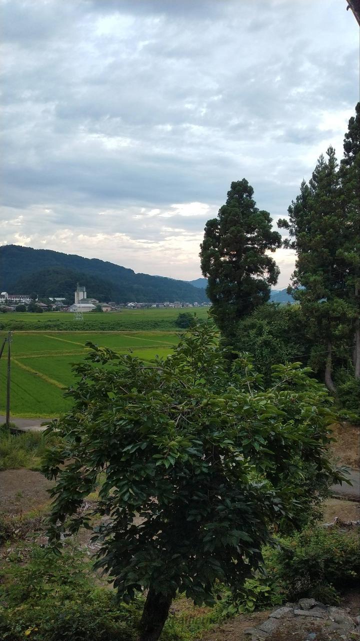 お早う御座います...
