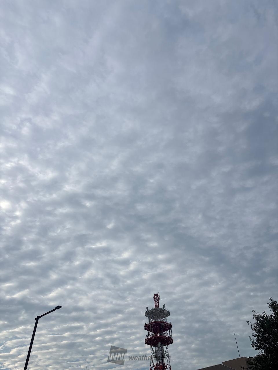 ナミナミ雲が広がっ...
