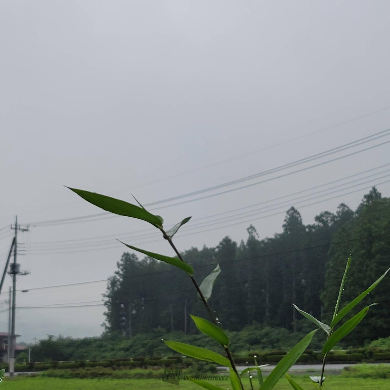 おはようございます...