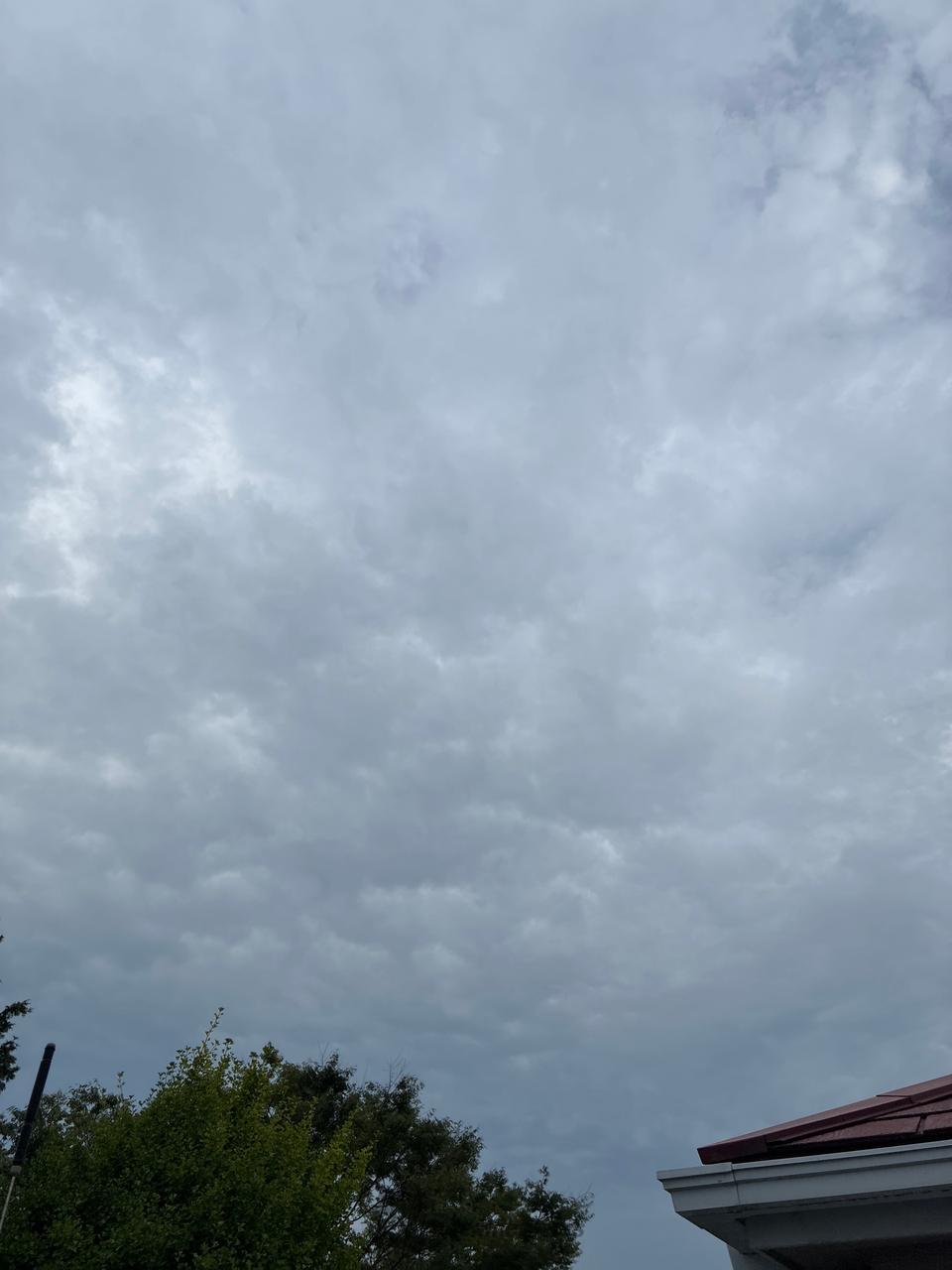 曇り。気温は涼しい...