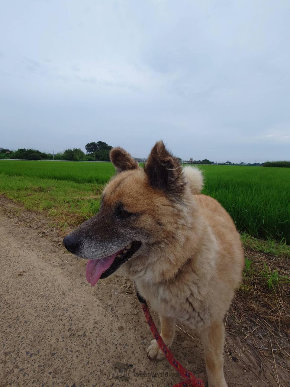 おはようございます...