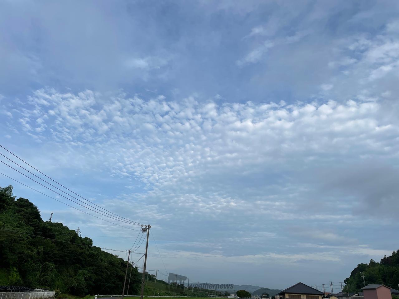 今朝は、ウロコのよ...