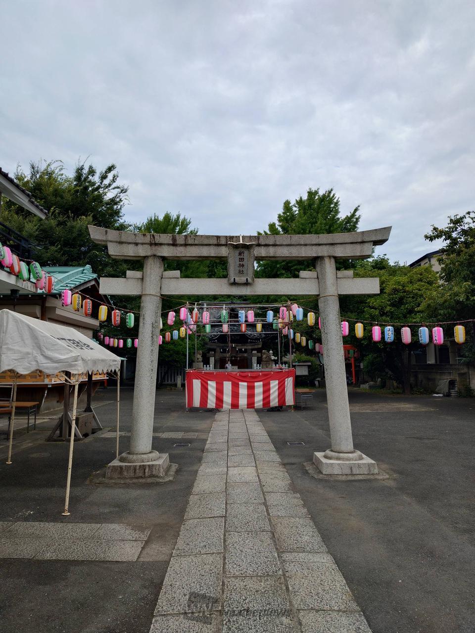 #お散歩リポート...