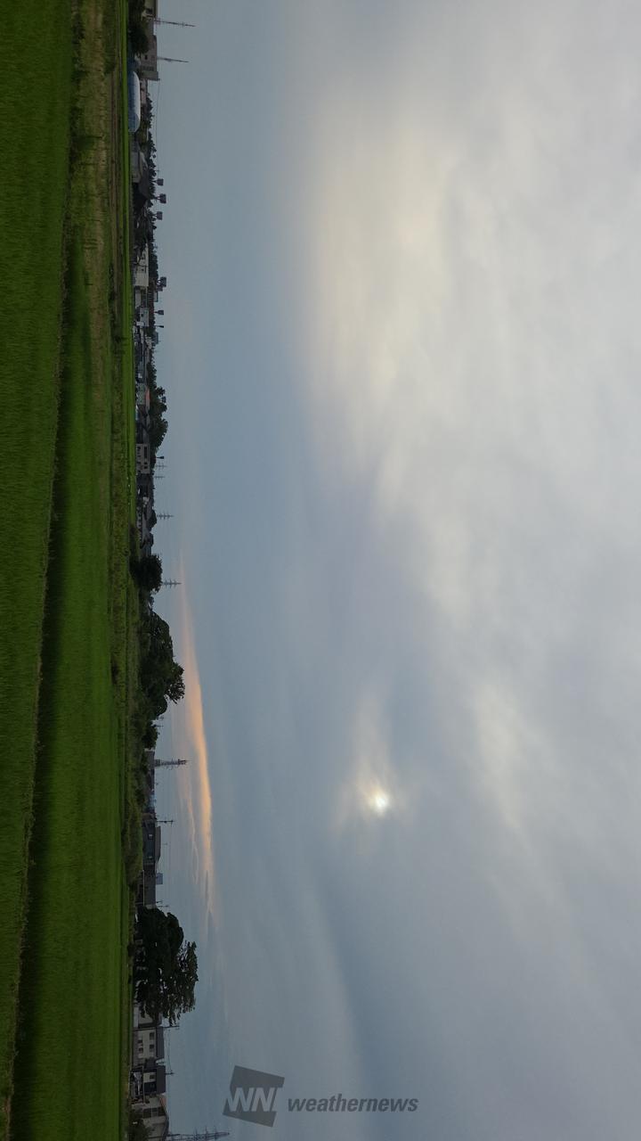 朝陽辛うじて、...