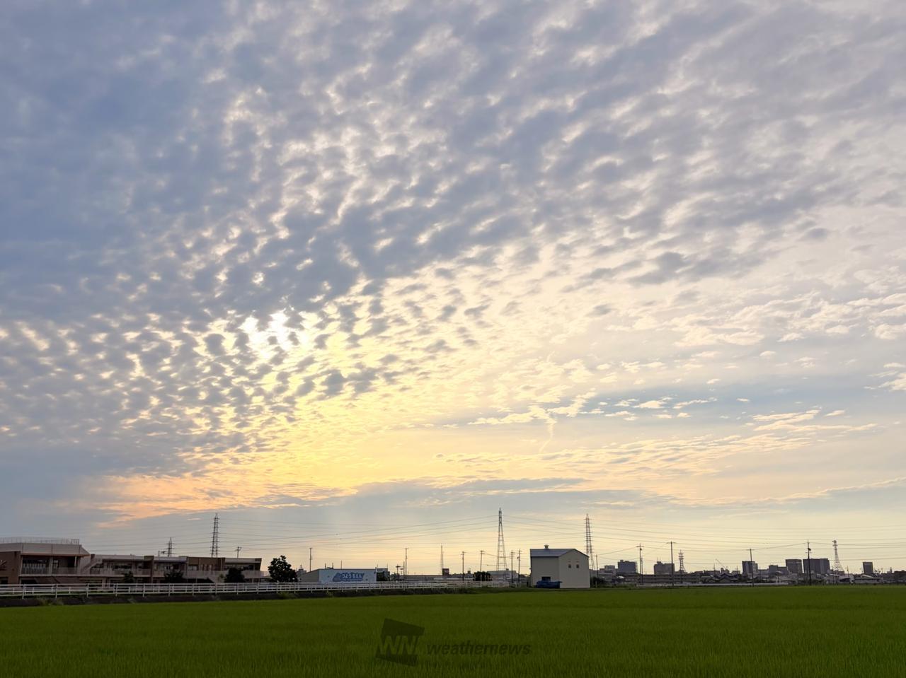 東の空。一面のひつ...