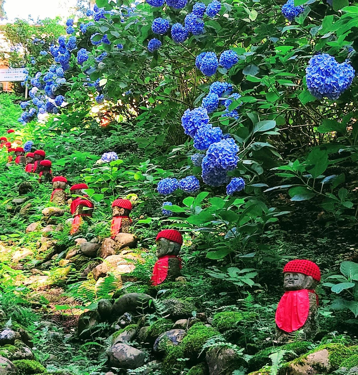 浄法寺　八葉山天台...