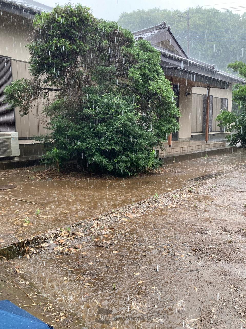 ウェザーリポート
