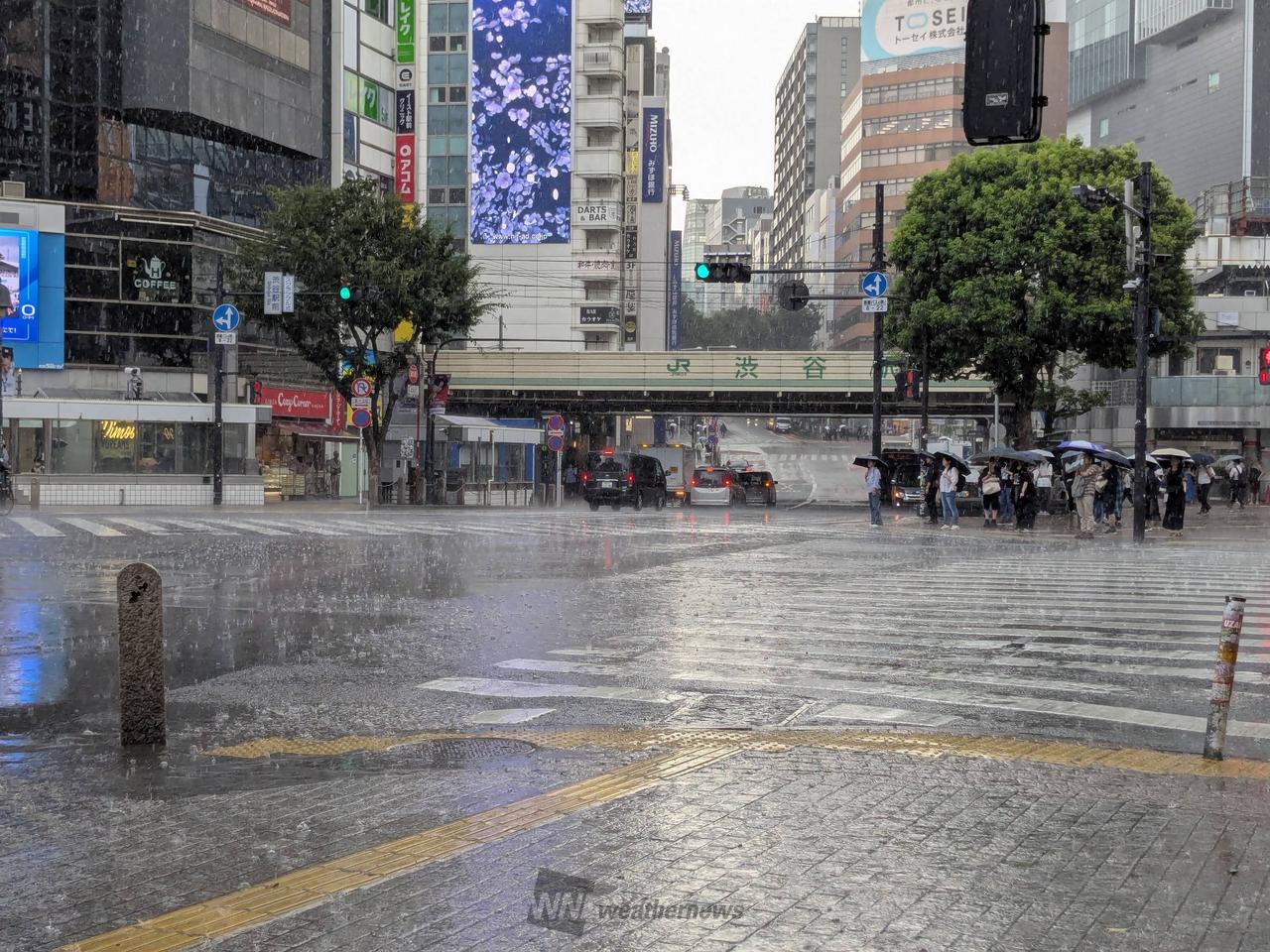 渋谷駅で地下を出た...