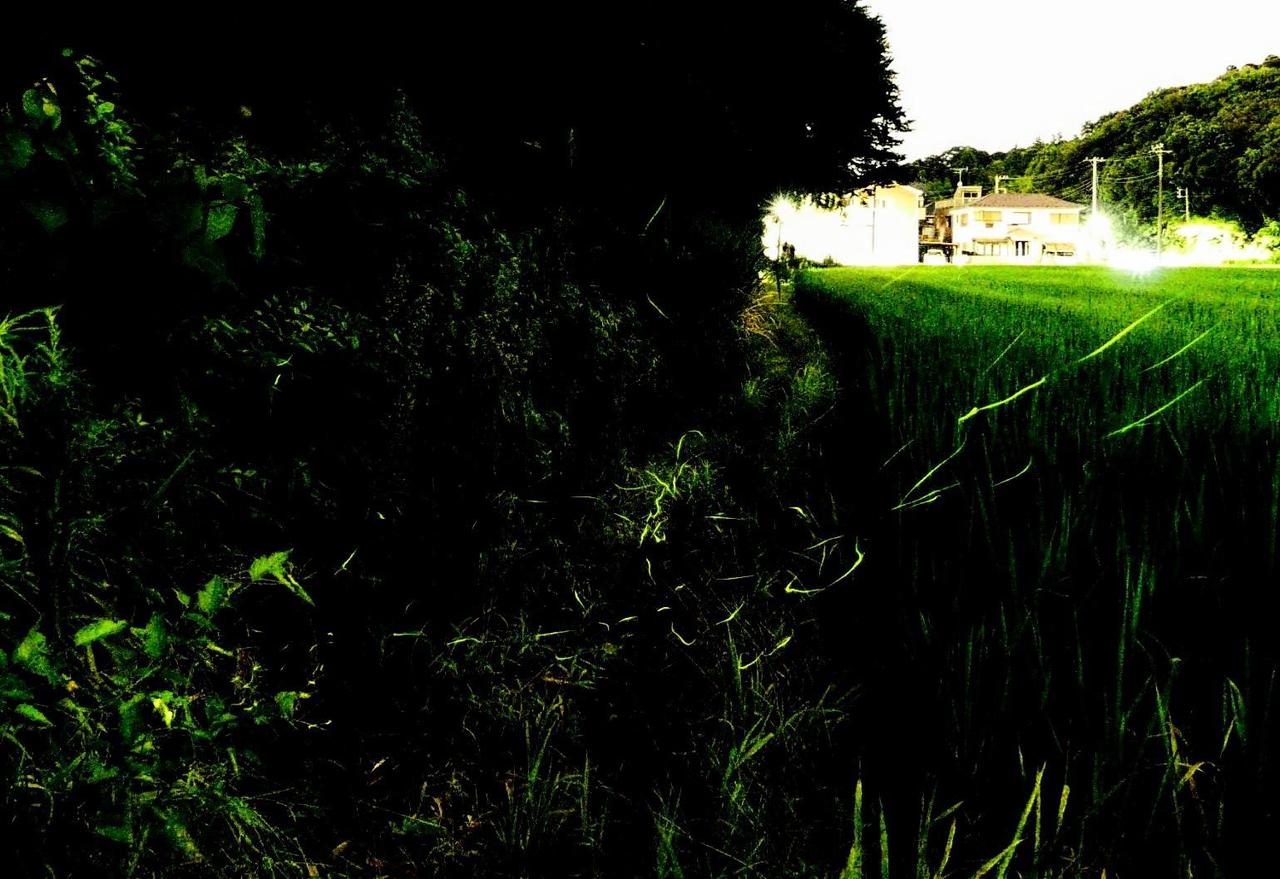 ほたる写真・動画館 注目の空の写真 ウェザーニュース