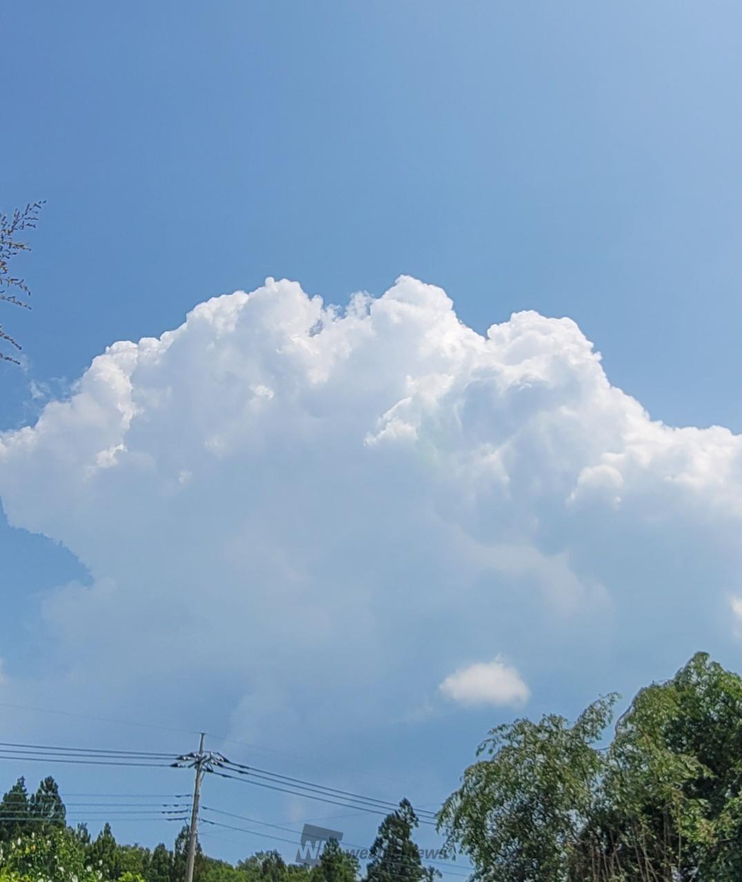 もくもく成長中 注目の空の写真 ウェザーニュース