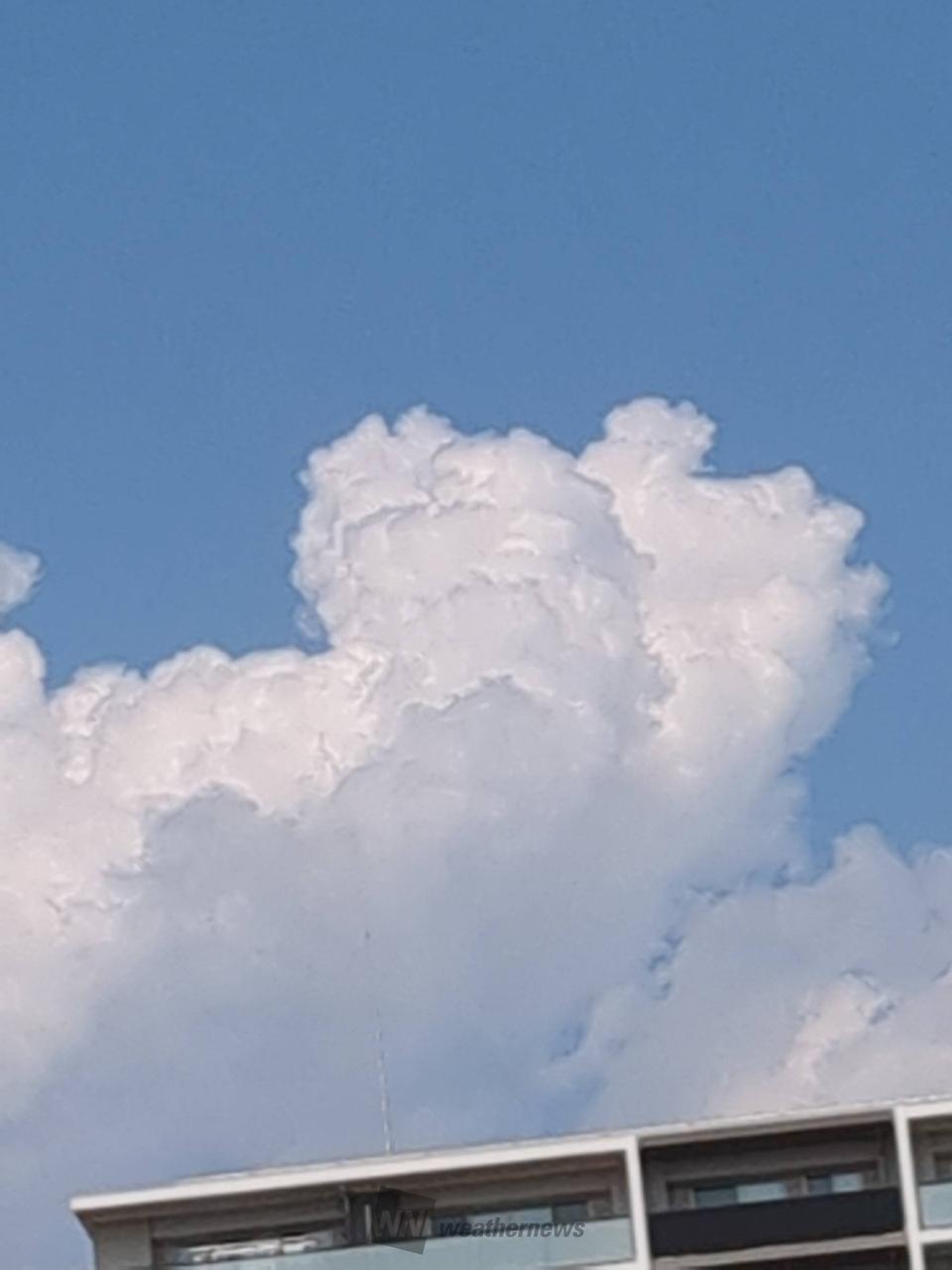 もくもく成長中 注目の空の写真 ウェザーニュース