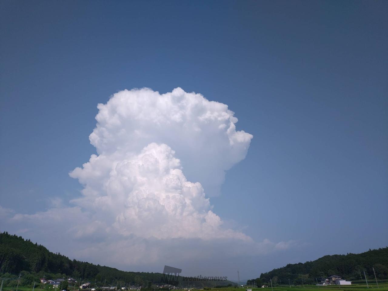 もくもく成長 注目の空の写真 ウェザーニュース