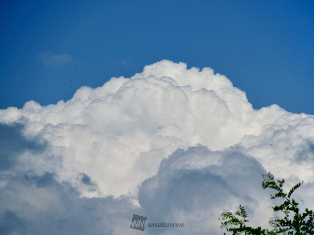 怪しい雲を追跡 注目の空の写真 ウェザーニュース