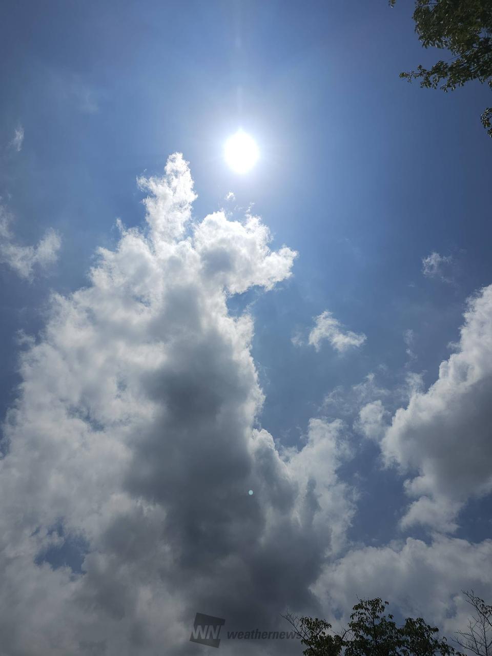 もくもくとした雲が広がっています。陽射し | 福岡県福岡市西区 | いと