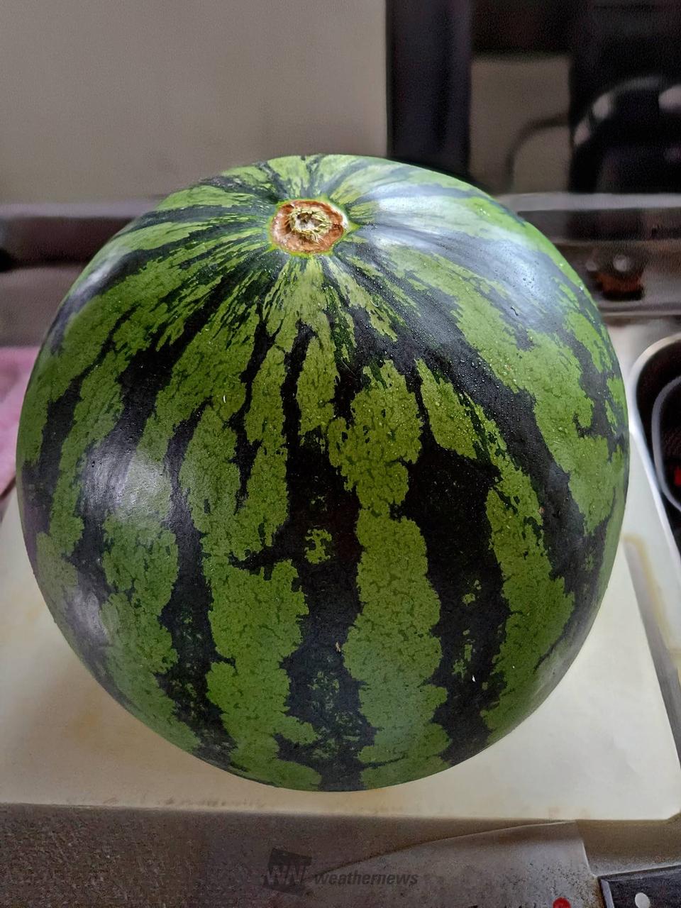 今季3個目のスイカ🍉 3Lサイズ✨ ① | 青森県東津軽郡今別町 | sameta