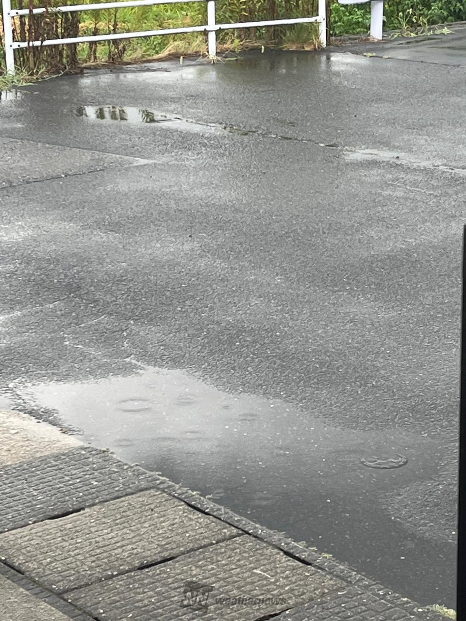 さっきまでの激しい雨が小雨になりました | 福井県福井市 | マロン