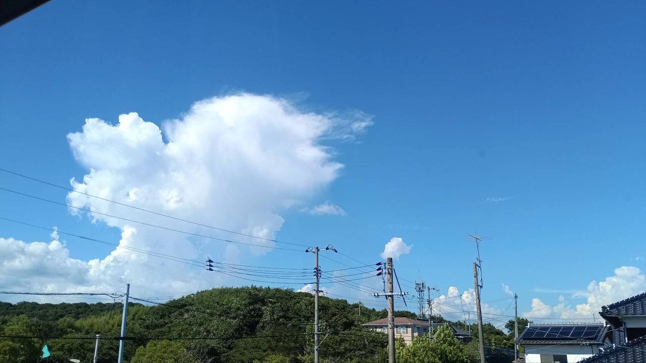 夏特有の真っ白な盛り上がった入道雲のよう | 山口県山口市 | ま