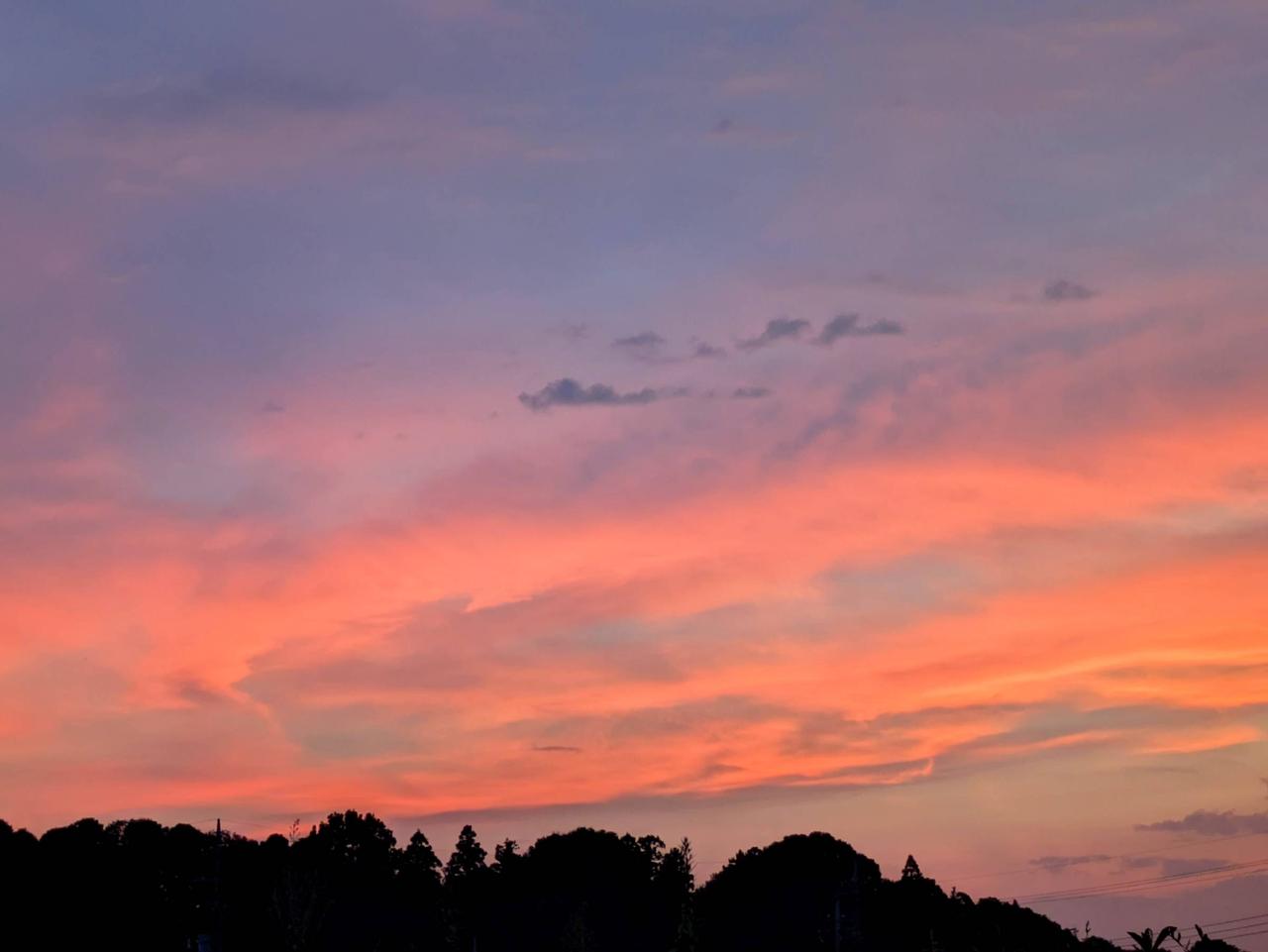 鮮やかな夕焼け 注目の空の写真 ウェザーニュース