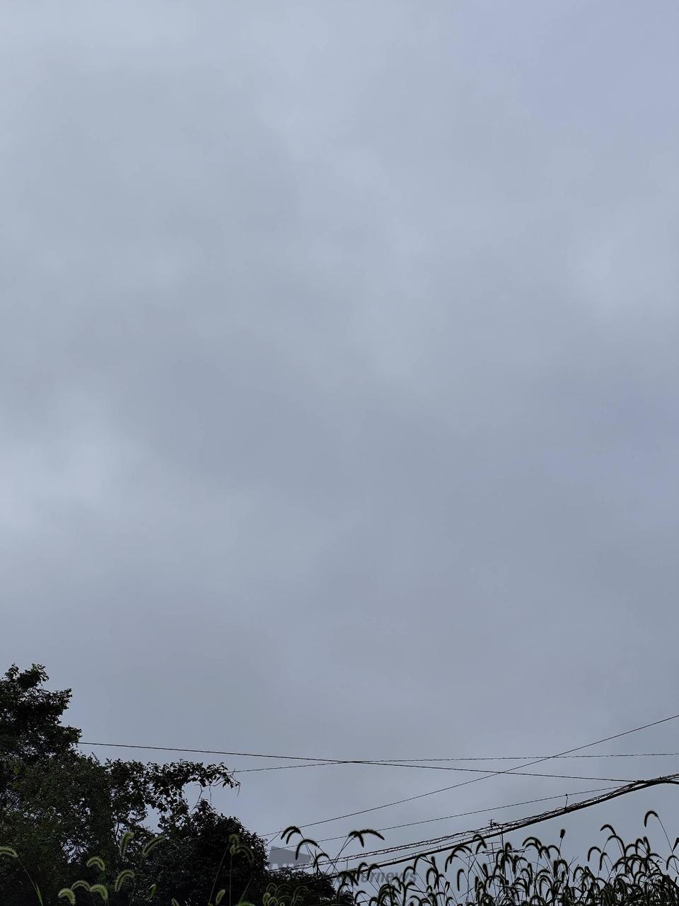 今朝は曇り空☁️...