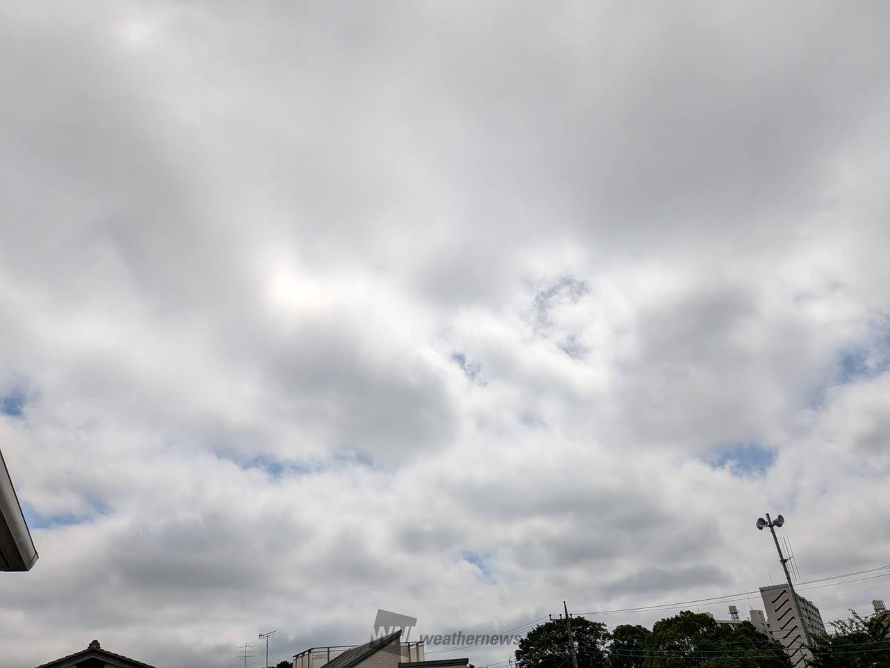 東の空。朝は太陽見...