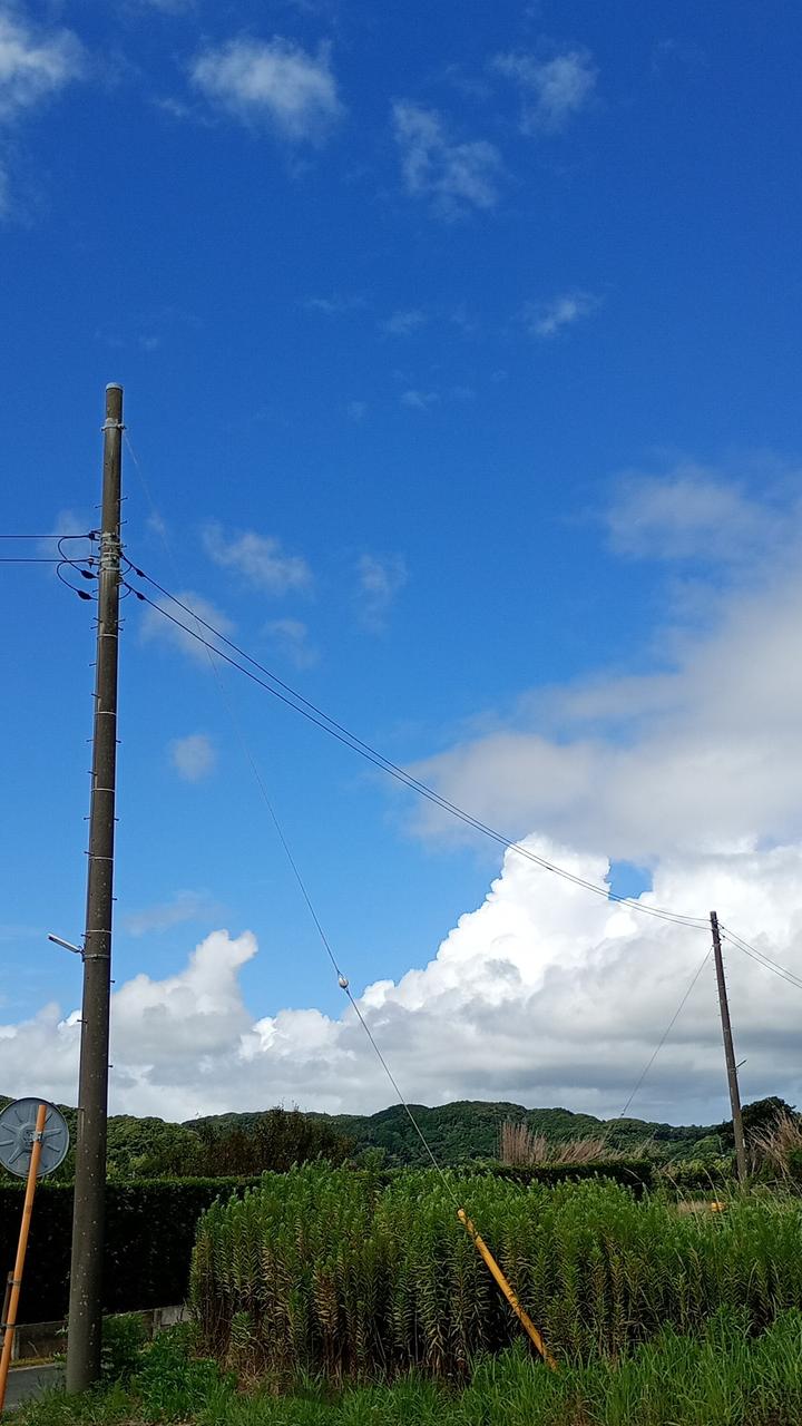 西の空 下の方は黒...