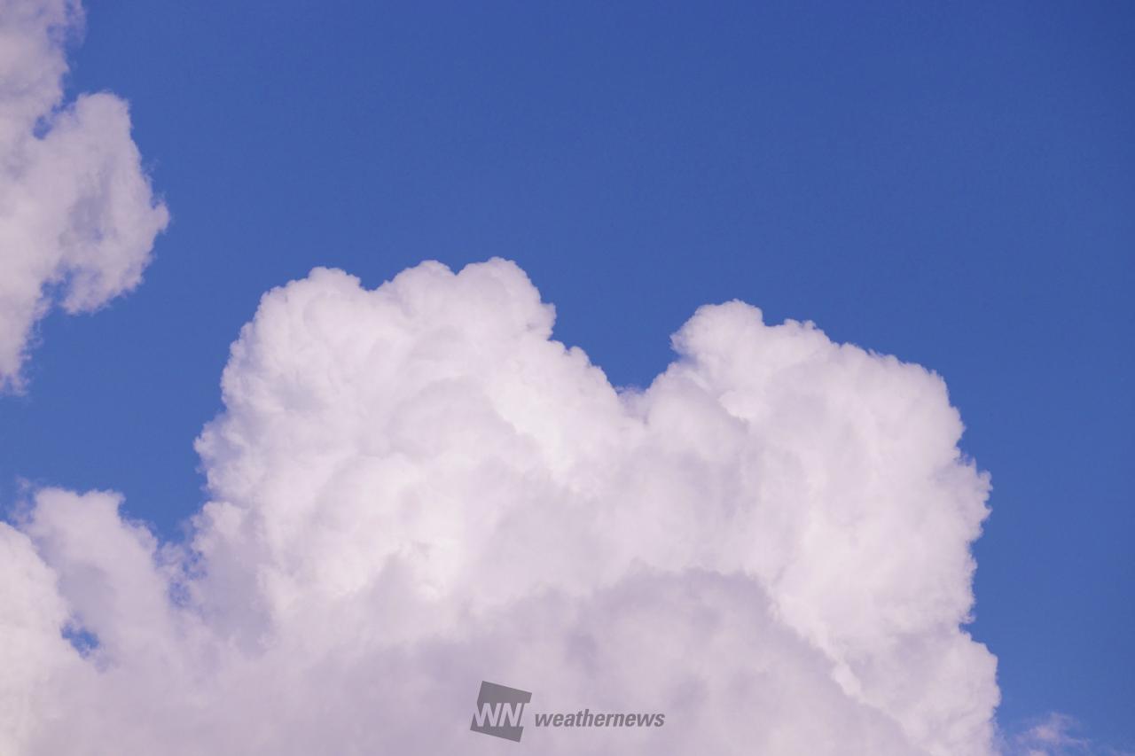 夏の雲...