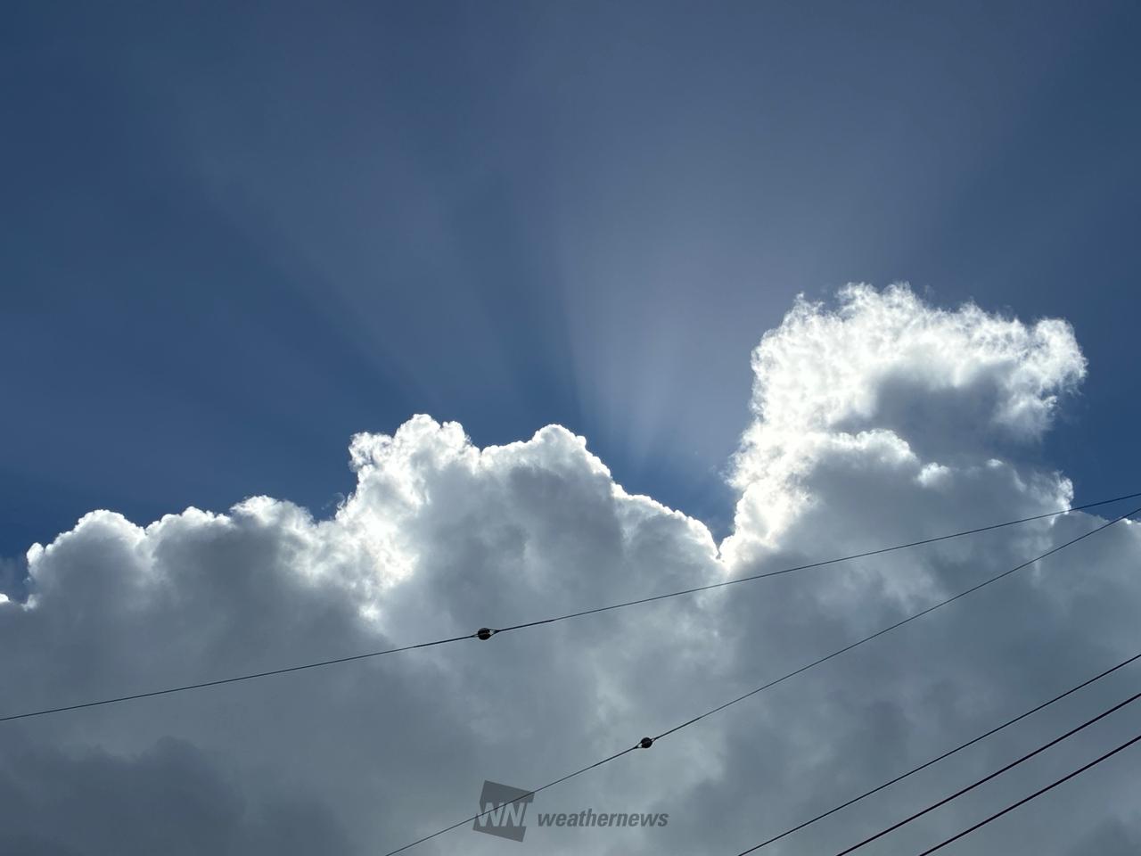 夏らしい入道雲 注目の空の写真 ウェザーニュース