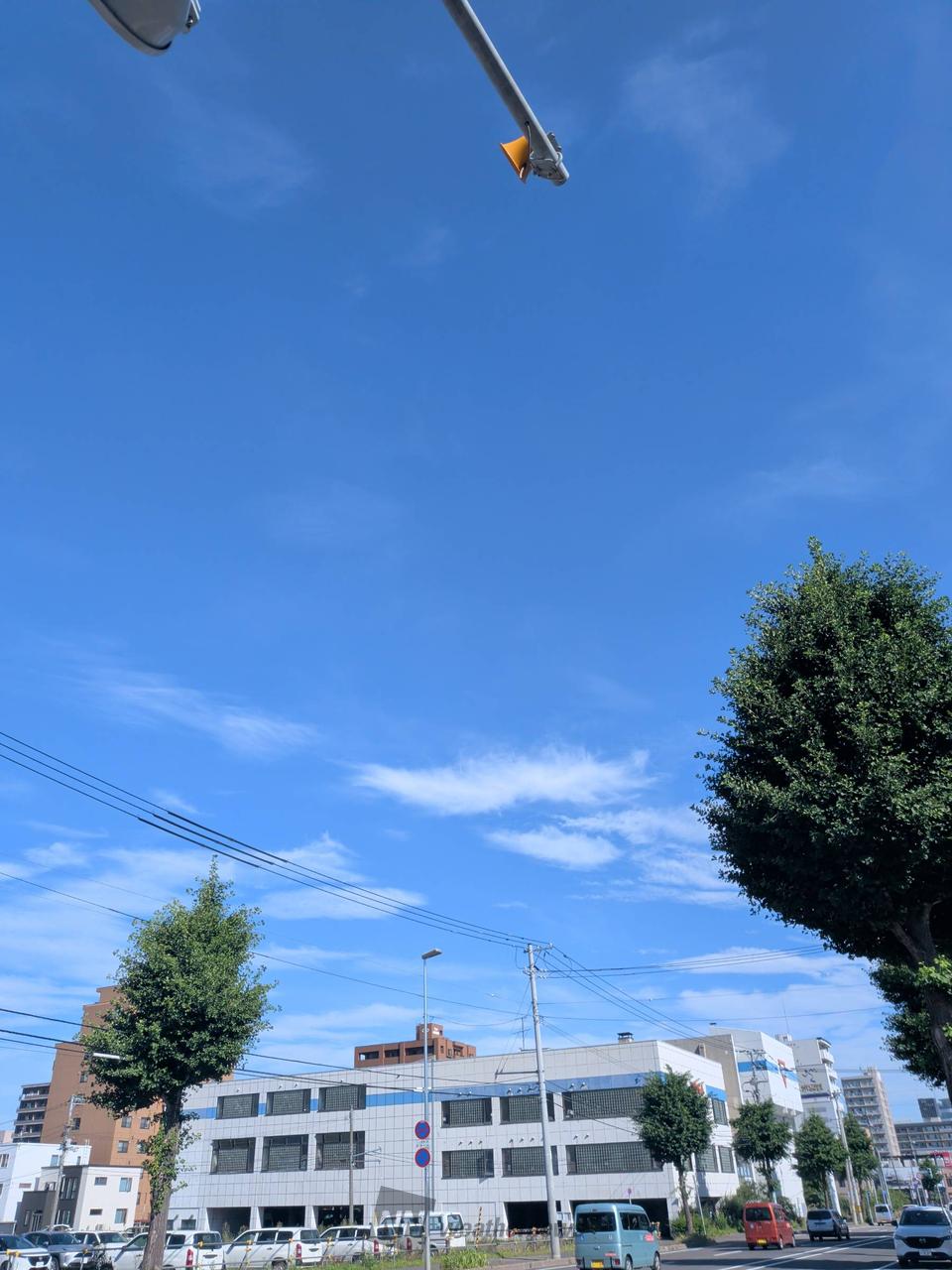 117807771.jpg